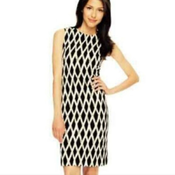 J. McLaughlin Dress NWT Sleeveless Bainbridge Cloth White Black Gray Size Medium - Picture 3 of 11